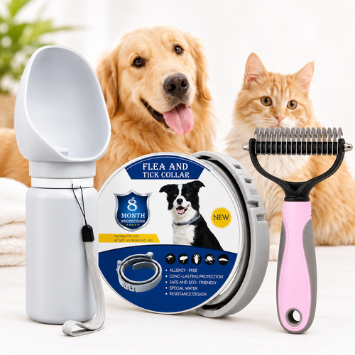 Dog Care Bundle — Collar + Brush + FREE Water Bottle