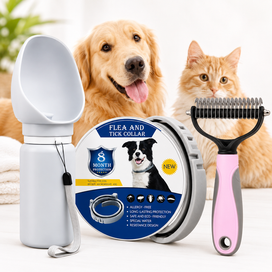 Dog Care Bundle — Collar + Brush + FREE Water Bottle